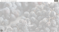 Desktop Screenshot of cesariverona.it